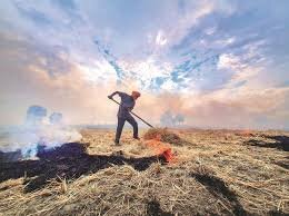 Stubble Burning