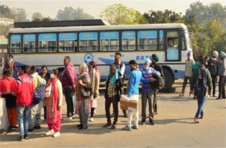 buses