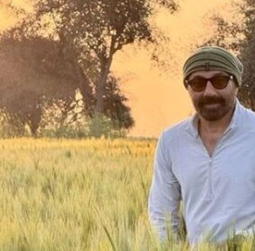 sunny deol