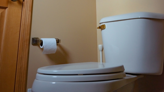 toilet