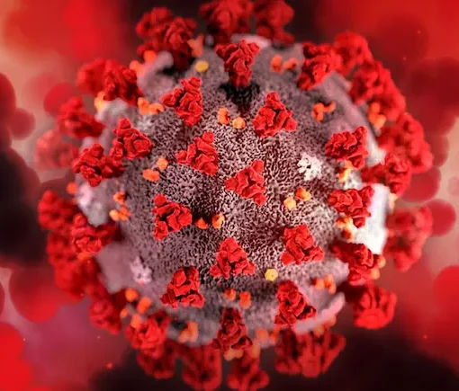 virus