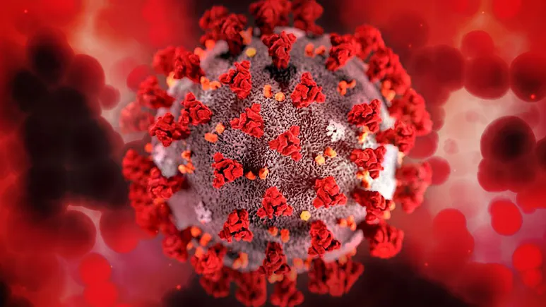 virus