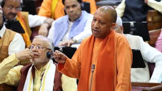 yogi