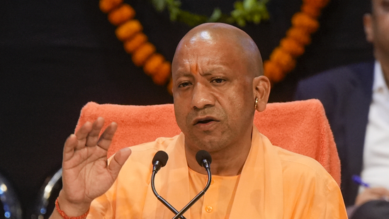yogi